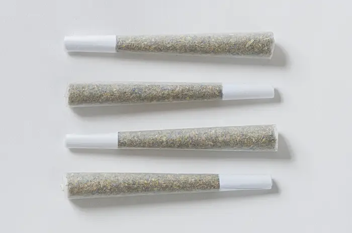 Cannabis preroll resting on a black grinder with green foliage in the background. Showcases Theo’s preroll product offerings.