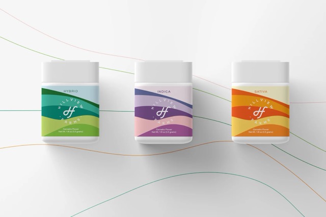 Hillview Farms hybrid, indica, and sativa flower jars with colorful branding – New Jersey’s first family-owned licensed cannabis cultivator with Dutch farming roots.