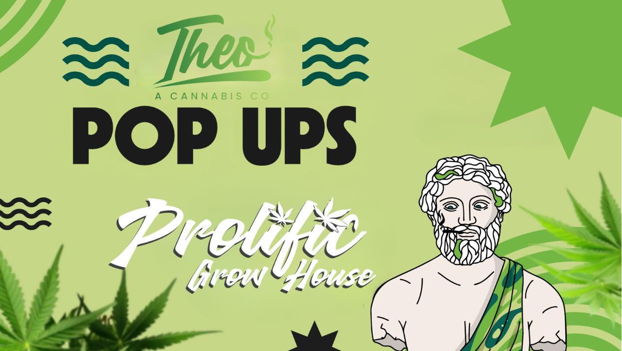Promotional graphic for a Theo Cannabis Co. pop-up event featuring Prolific Grow House Cannabis brand, with cannabis leaves, Theo’s illustrated mascot, and event branding elements