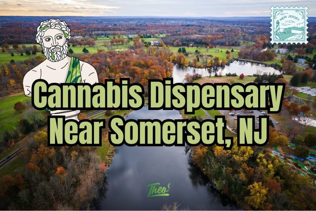 Overhead view of Somerset, NJ in autumn with bold text promoting Theo cannabis dispensary near Somerset.