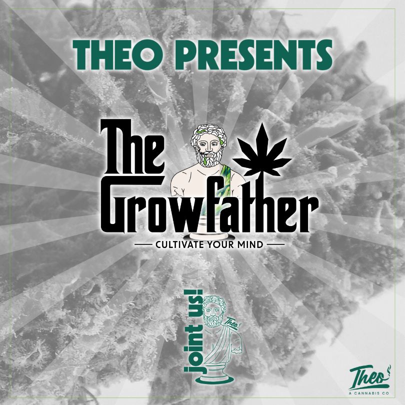 Theo Cannabis presents Growfather pop-up event featuring premium flower strains – Join us at Theo Dispensary in New Jersey.