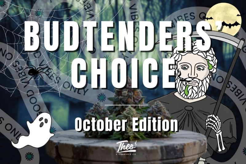 Halloween-themed Budtenders’ Choice October Edition banner from Theo Dispensary. Features cannabis buds on a stone table, cobwebs, spider, ghost, full moon, and the Theo statue character dressed as a grim reaper.