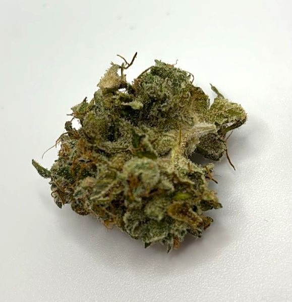 Close-up of a frosty cannabis bud from Full Tilt, showcasing dense structure, sticky trichomes, and vibrant orange hairs on a clean white background.