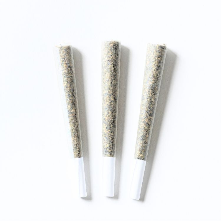 Three Pre-Rolls on a plain white background