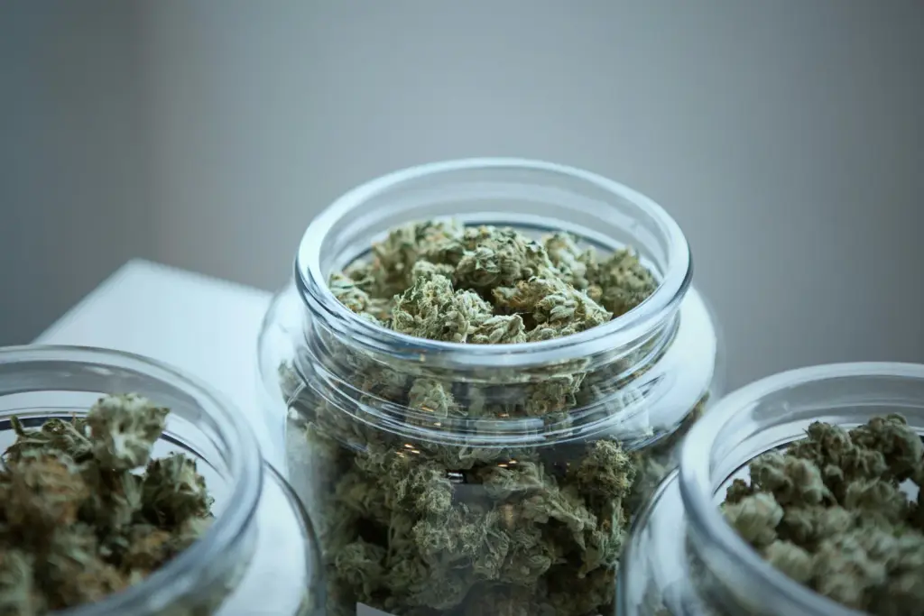 Glass jars of cannabis flower, the classic choice for storing weed and keeping it fresh