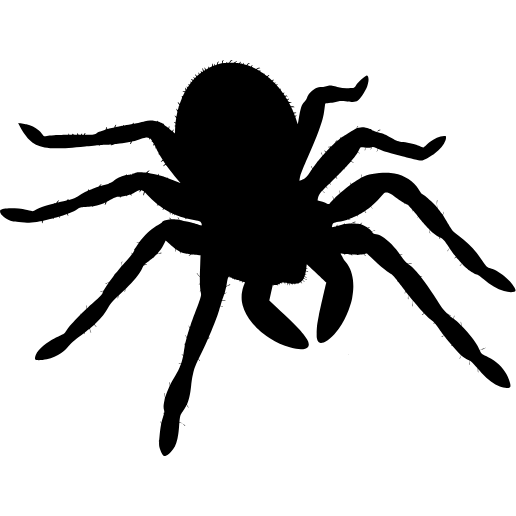 A silhouette of a spider