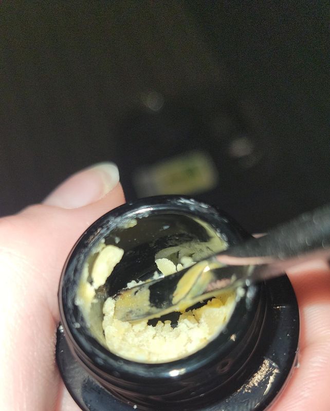 Close-up of a dab tool scooping creamy yellow cannabis badder, Lobo's Pop Rocks Cold Cured Badder 1G, from a black container, showcasing the thick, crumbly texture under bright lighting.