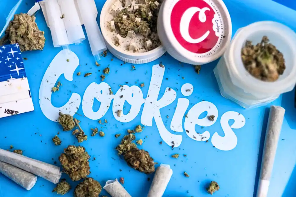 An assortment of cannabis products of Cookies on top of a blue box with the Cookies product logo