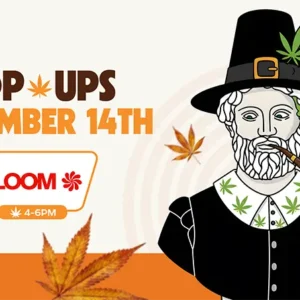 Illustration of a pilgrim-style figure with cannabis leaves on their collar and hat, smoking a pipe, promoting a cannabis pop-up event. Text reads “Pop Ups November 14th” with “Bloom” and “4-6PM” below, surrounded by autumn leaves and orange accents.