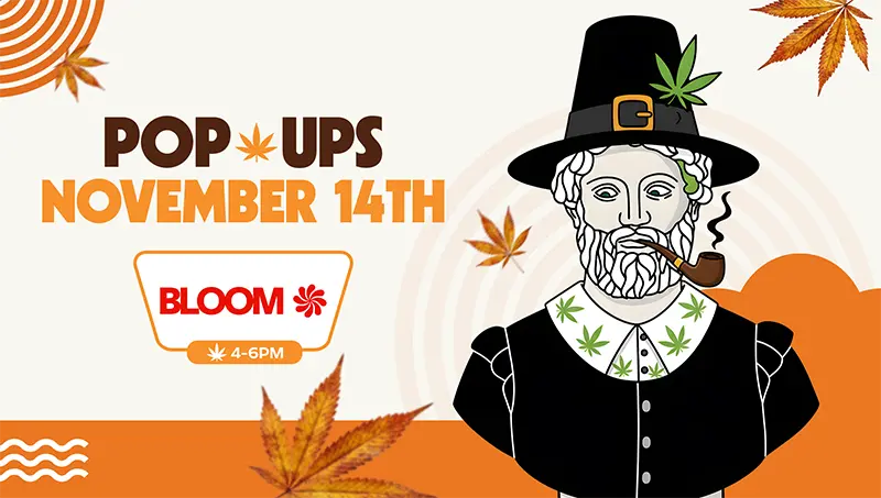Illustration of a pilgrim-style figure with cannabis leaves on their collar and hat, smoking a pipe, promoting a cannabis pop-up event. Text reads “Pop Ups November 14th” with “Bloom” and “4-6PM” below, surrounded by autumn leaves and orange accents.