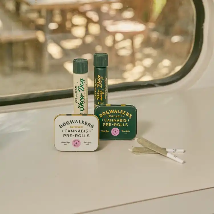 Dogwalkers cannabis pre-roll products, including infused and classic varieties in branded tins and tubes, placed on a windowsill with two pre-rolls beside them and a blurred outdoor scene in the background.