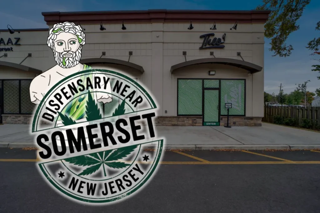 Front entrance of Theo A Cannabis Dispensary in Franklin Park, NJ, with large stamp overlay graphic reading 'Dispensary Near Somerset, New Jersey' featuring a Greek-style bust and cannabis leaves. Image designed as a hero banner for a local landing page.