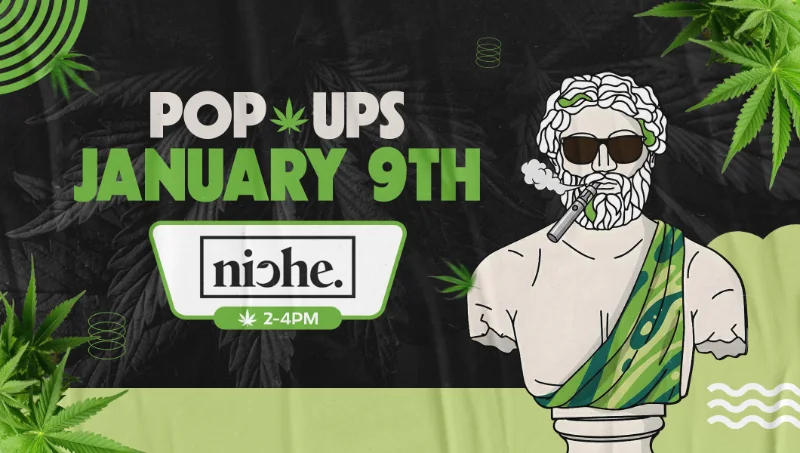 Theo Dispensary pop-up event graphic promoting the Niche vendor pop-up on January 9 from 2–4 PM, featuring the Theo mascot and cannabis-inspired visuals.