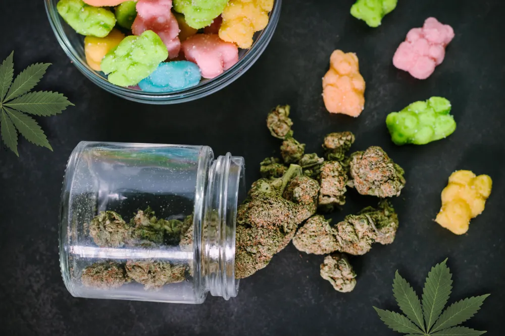 Cannabis edibles assortment with gummies, jar, and flower for Theo Dispensary Franklin Park NJ