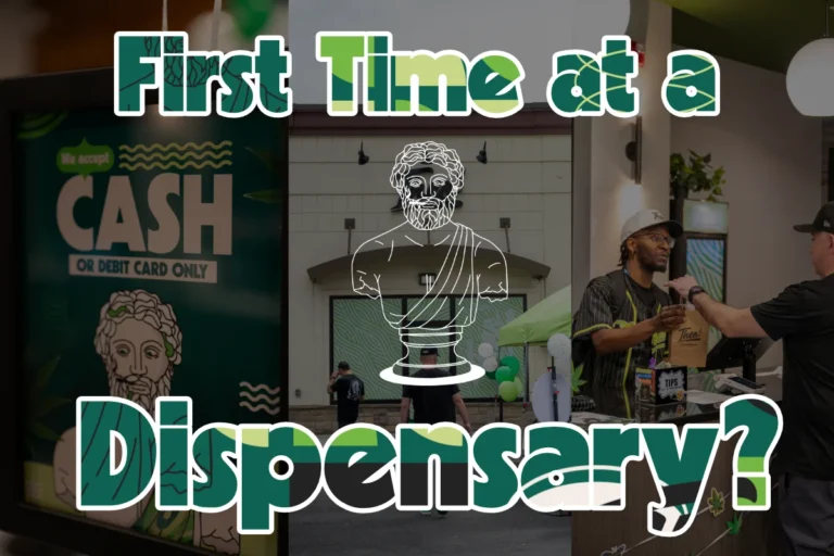 First-time dispensary visit in Franklin Park, NJ — Theo shop exterior, budtender, and in-store signage