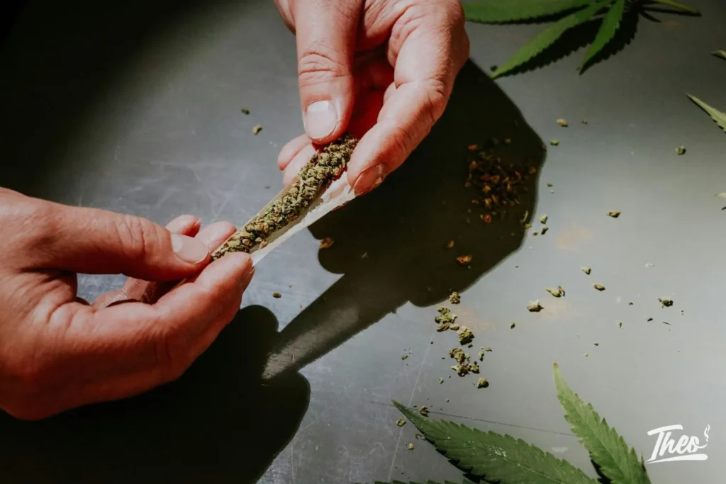 Hands rolling a cannabis joint with ground flower, shows the regular pre-roll process explained at Theo NJ