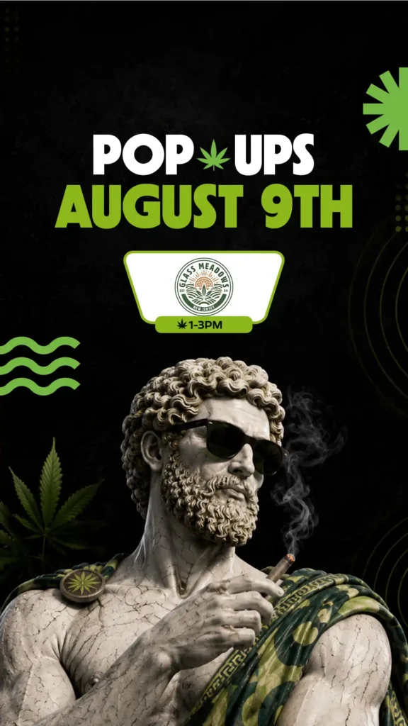 August 9th Glass Meadows pop-up at Theo Cannabis in Franklin Park NJ