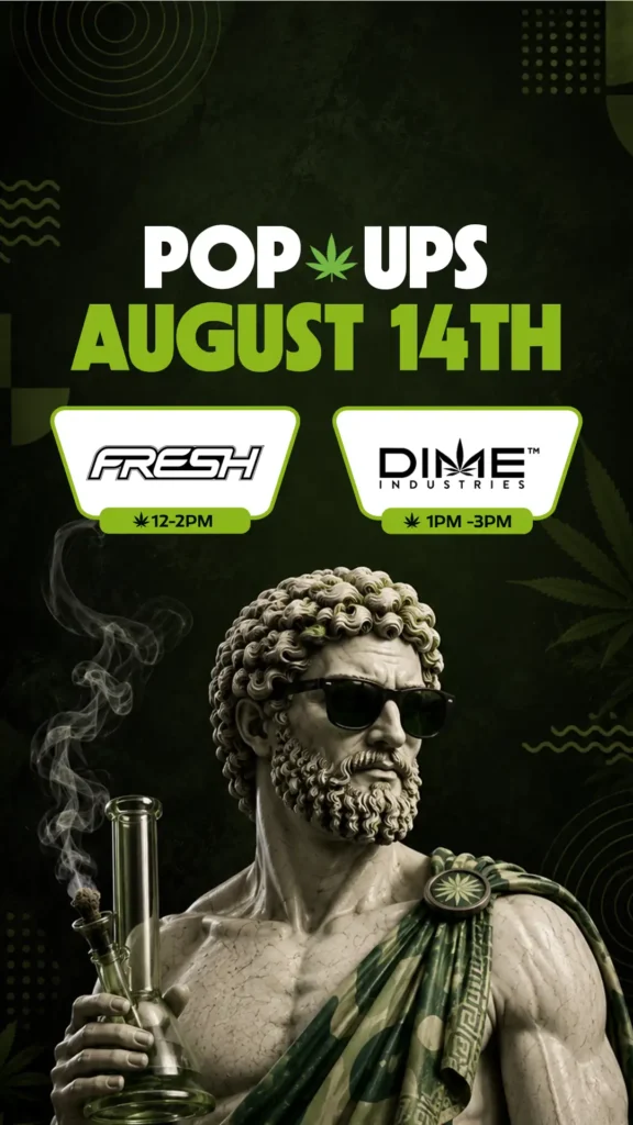 August 14th double pop-up at Theo: Fresh 12–2 PM and Dime Industries 1 to 3 PM, Franklin Park NJ