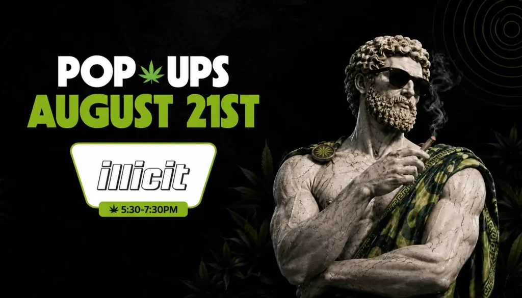 Illicit pop-up at Theo on August 21, 5:30-7:30PM, with a marble statue in sunglasses and a camo drape