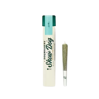 Dogwalkers Show Dog infused pre-roll tube, one of the Budtenders' Choices for October, displayed next to a single pre-roll