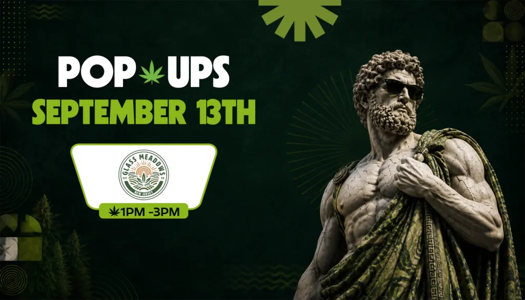 Theophrastus wearing sunglasses stands against a dark green backdrop with abstract geometric shapes, its shoulder wrapped in a leaf-patterned green cloth, next to bold text announcing Theo's September 13th pop-up hosted by Glass Meadows New Jersey from 1PM to 3PM